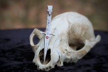 Load image into Gallery viewer, The *Amelia* Stiletto Necklace