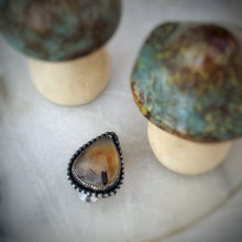 Load image into Gallery viewer, Agaric Agate Hatpin
