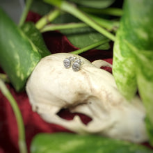 Load image into Gallery viewer, Tiny Skull Earrings
