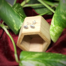 Load image into Gallery viewer, Tiny Skull Earrings
