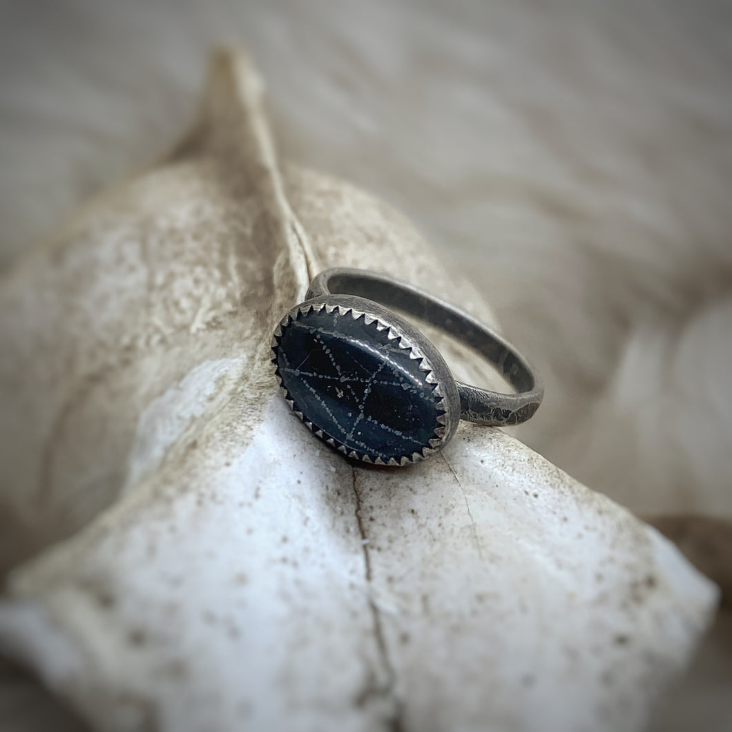 Orb Weaver Web Ring
